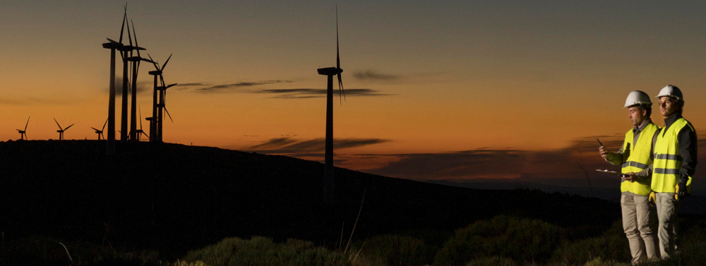 wind-farms-fields 1